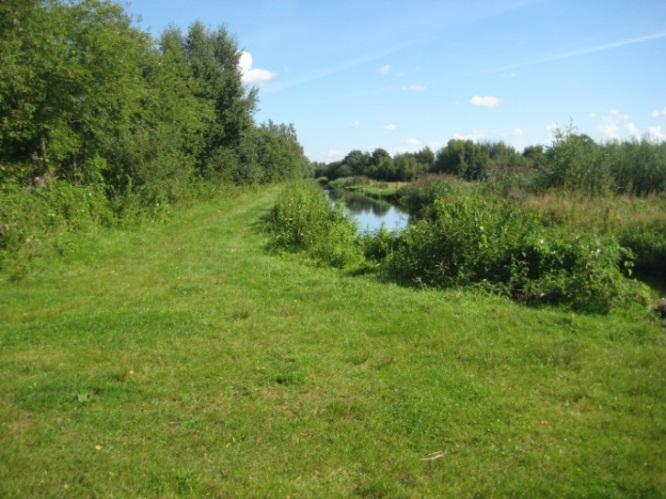 Op afstand kan er gekeken worden naar de jonge eendjes en zwanen die daar