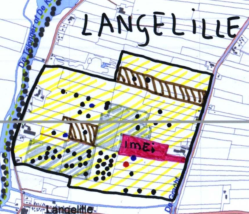 Langelille (Collectief Beheerplan vanaf 2011) Hier zien we hetzelfde beeld als in vrijwel geheel Weststellingwerf: de kieviten zijn gevlogen. En ook de scholeksters nemen verder af.