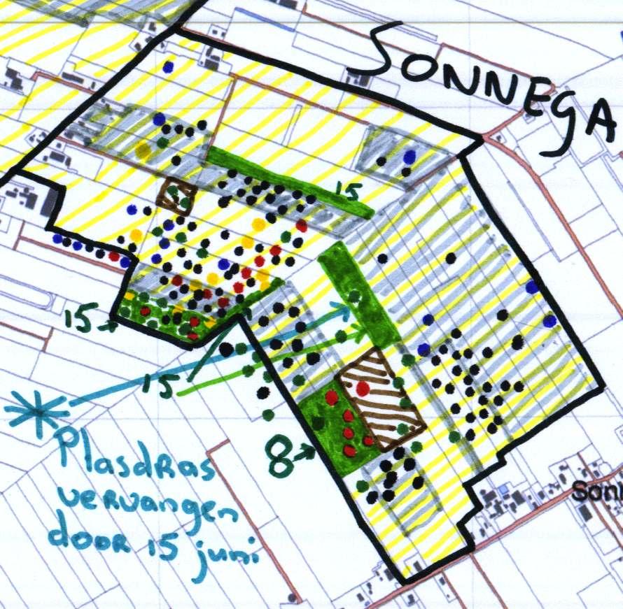 Sonnega (Collectief Beheerplan vanaf 2011) Op de scholekster na zijn in dit mozaïek de aantallen op peil gebleven.