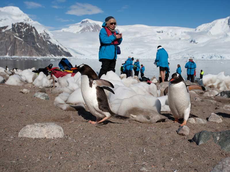 Antarctica 14-Daagse Klassieke expeditie Antarctica, in het land van de pinguins.
