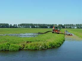 5.2 Knelpunten in polders Factoren die van belang zijn om polderwateren vanuit ecologisch standpunt goed te laten functioneren zijn: 1.