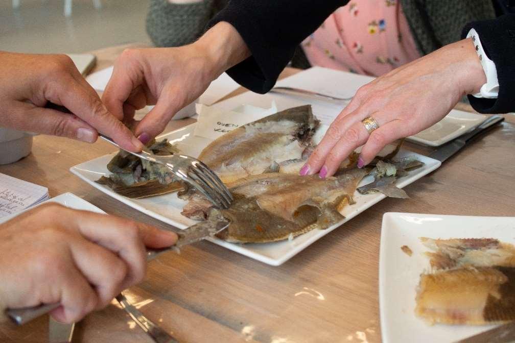 Proefsessie nieuwe producten In mei kwaliteit normaal sub-optimaal: Testen bij bedrijven Interne proefsessie met gekregen stalen Opmerkingen doorgestuurd aan bedrijven In september - kwaliteit