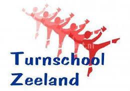 Topsport: Turnen bij Turnschool Zeeland Wil jij een topturn(st)er worden? Dan ben je waarschijnlijk nu al actief bij Turnschool Zeeland in Vlissingen.