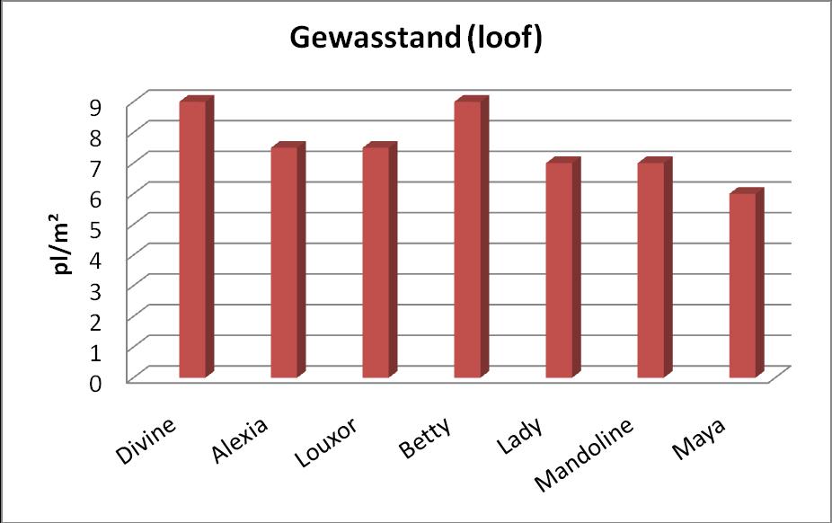 - 46 - Er zijn geen specifieke onkruidtellingen uitgevoerd. Na de 1ste wiedegbeurt bleven er een 60 onkruiden per m² over. Door de droogte waren er toch nog veel onkruiden gekiemd.