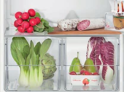 De Prestige P eco verenigt in één toestel de talloze voordelen van ons aanbod koelkasten.