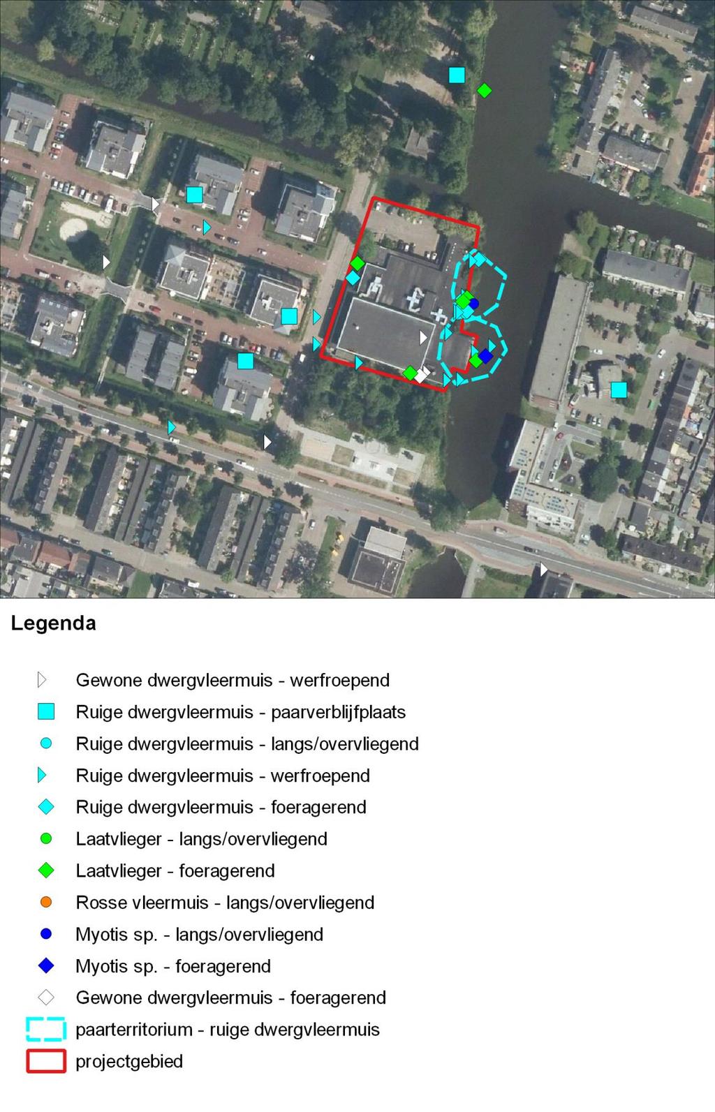 5.3 Massawinterverblijfonderzoek Tegelijkertijd met het paarverblijfonderzoek is ook onderzoek verricht naar massawinterverblijfplaatsen