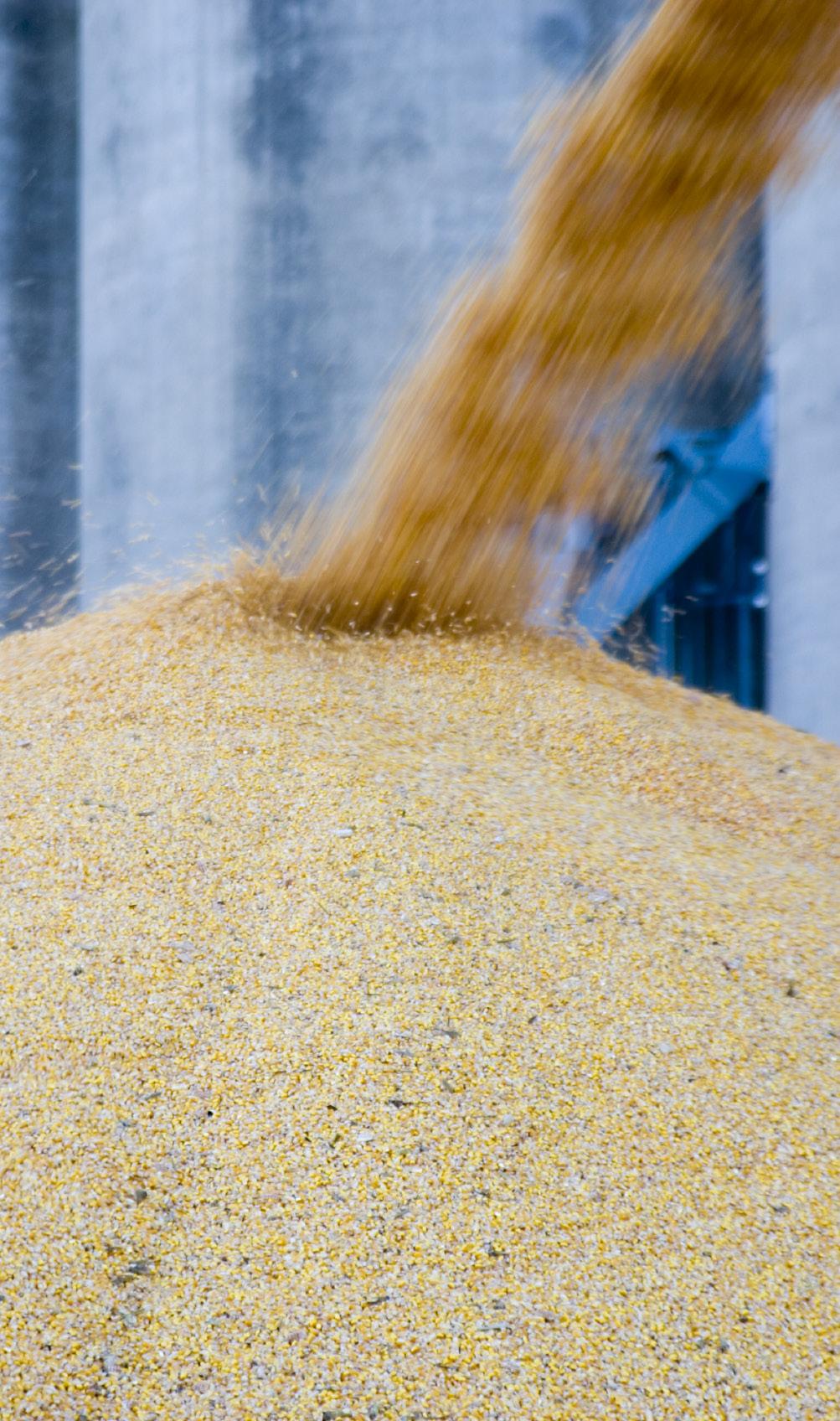 MAAK DEEL UIT VAN HET GROOTSTE NETWERK VAN DE BULKINDUSTRIE Voor vakgenoten Het BulkNetwerk is hét medium voor de bulkindustrie in België en Nederland.