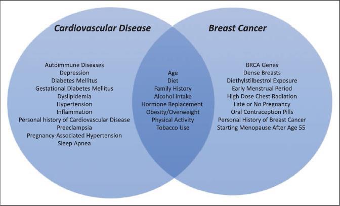 Hart- en vaatziekten en borstkanker