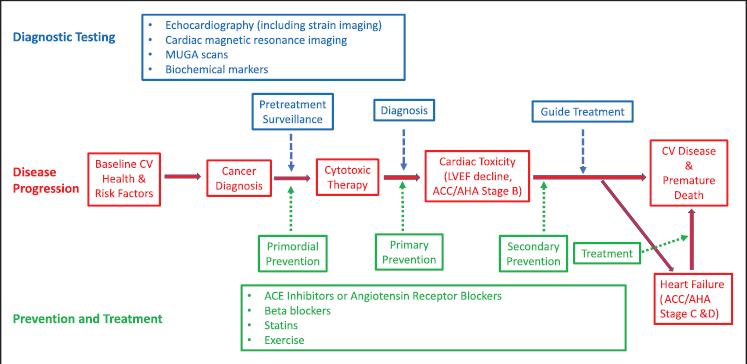 Flow-chart diagnose en behandeling hartschade bij