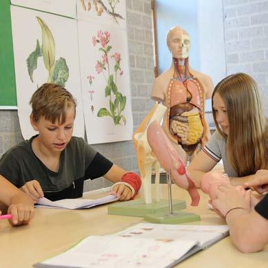 80-20 leren - Leerwerktijd (LWT) Ondernemend leren is ook LeerWerkTijd (LWT) op het Oostwende, 80 procent van de tijd krijg je gewone lessen en 20 procent van de tijd is LWT.