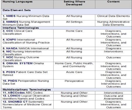 SVH MVG SNOMED CT Clinical information system, Mastrian, K.G., & McGonigle, D. (2012).