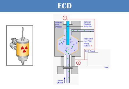 15 De ECD is een selectieve detector voor electro-negatieve componenten (vooral halogenen).