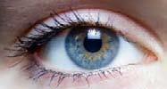 ruisvorming. Deze drie onderdelen vormen de belichtingsdriehoek. Diafragma Het Diafragma in de camera is te vergelijken met de iris in je oog.
