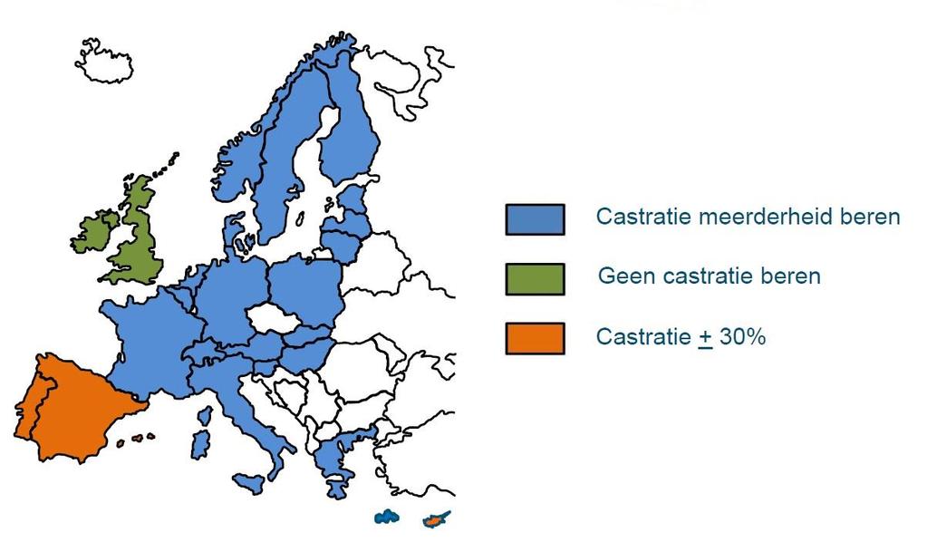 12 Situatie in Europa in 2008 (van der Fels en Knol, 2013) Chemische castratie Verschillende chemische substanties kunnen gebruikt worden om de hormoonproducerende cellen af te breken.