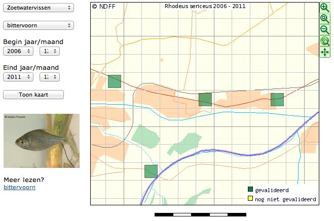 3.2.8 Vissen Tijdens het veldbezoek zijn geen onder de Flora- en faunawet beschermde vissen aangetroffen.