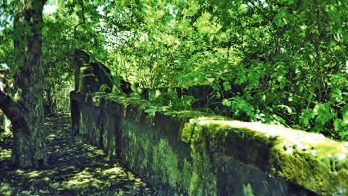 5. Ruïnes op Magelage, situatie 1981 (foto auteur) Sakalava veroverd, was de Antalaotraheerser omvergeworpen en de commerciële betekenis van het gebied sterk afgenomen.