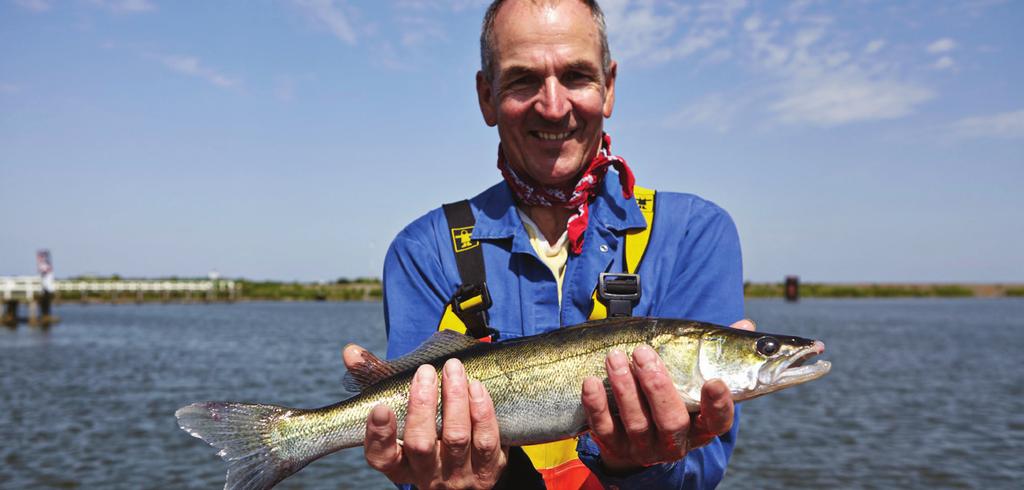 kansrijke initiatieven Vitaal IJsselmeer De komende jaren werken diverse partijen aan het verbeteren van zowel de waterkwaliteit, de voedselrijkheid als het ecologisch herstel van het IJsselmeer.