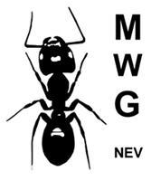 Veranderingen in de ledenlijst Per 1 maart 2017, aantal leden 90. Nieuwe leden bundelen en bevorderen van de kennis van mieren (Formicidae), mede met het oog op natuurbehoud en milieubeheer.