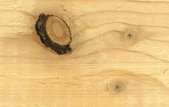 30 1.11 Boordergangen Boordergangen zijn gangen en gaten in het hout die zijn veroorzaakt doordat larven en kevers van houtaantastende insecten zich door het hout een weg hebben gebaand.