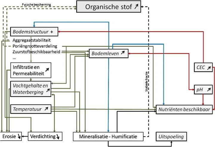 capaciteit) bodemstructuur stabiele