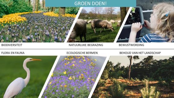 Groen doen! Gemeente Lochem heeft hoge ambities op het gebied van duurzaamheid. Binnen het thema Groen doen! is er volop ruimte voor biodiversiteit en ecologie.