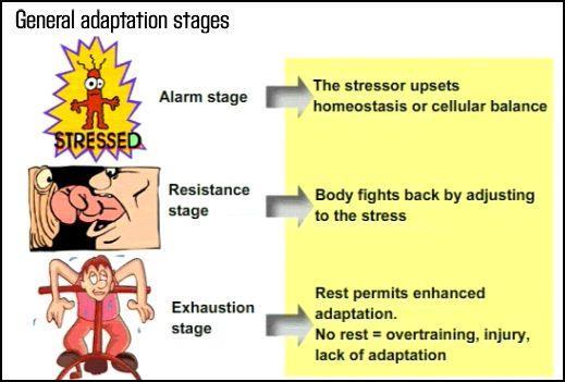 Veranderen van een trainingsprogramma is op zich al een vorm van stress!