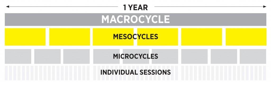 9.1. Soorten cycli Macrocyclus: periodisatie op lange termijn (maanden of jaren), bevat meerdere mesocycli Mesocyclus: