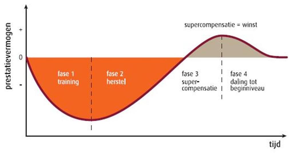7.3.3. Principe van supercompensatie = optimale wisselwerking tussen tussen inspanning en herstel Na de inspanning: vermoeidheid