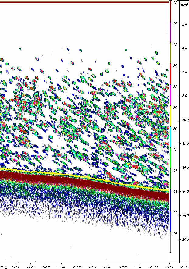 3.1 Horizontale verspreiding Het verloop van de visbiomassa uitgezet tegen de afgelegde weg tijdens de 6 transecten. De biomassa varieert van tot maximaal 7 kg/ha.