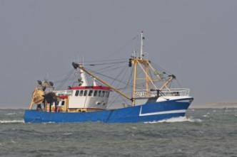 Gemiddelde aanvoer per zeedag (kg) Horsmakreel Haring Makreel Krabben St. J.