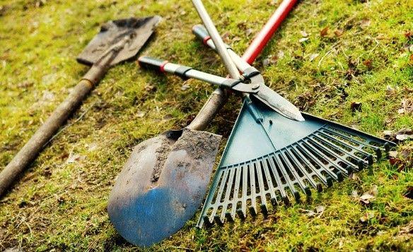 W i e h e l p t m e e? Op zaterdag 9 dec. a.s. willen we de tuinen rondom de school gaan snoeien en dus winterklaar maken.