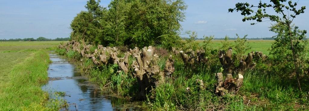 Bij het in- en uitdeuken wordt net als bij het zoeken van geschikte plaglocaties mede gelet op een goede balans tussen de gronden ten noorden en ten zuiden van de kade.