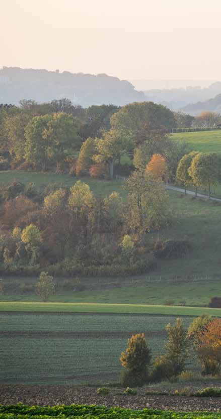 Gemeente Voerendaal & Gemeente Simpelveld Gemeenten en ondernemers maken gezamenlijk dit plateau toegankelijk voor via entrees langs hoofdroutes richting Heuvelland, Midden-Limburg en Aken.