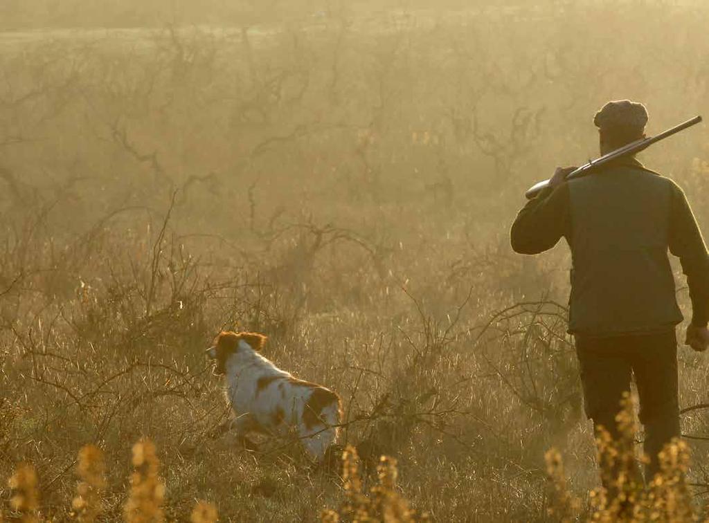 JAGERSTROTS Jagerstrots is ons kwaliteitslabel voor wild waarbij de vrije natuur van Europa als bron dient en waarbij respect voor het dier gegarandeerd wordt.