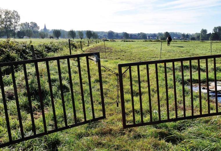 Dit is een verplichte taak van het stadsbestuur die ze niet nakomt.