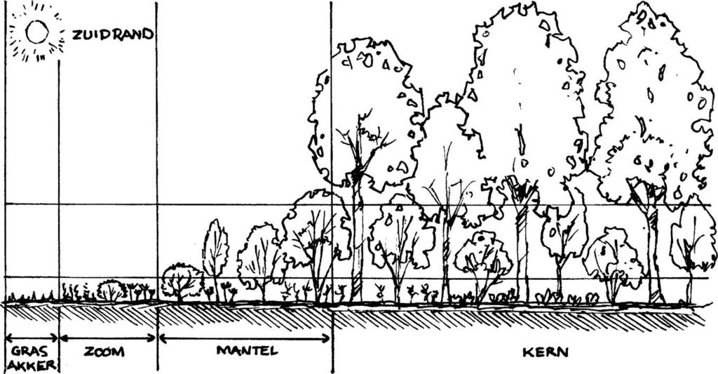 Fig. 2.33 Zo kan het ook! bosplantsoen Bosplantsoen, een natuurlijke begroeiing! Bosplantsoen is een begroeiing, waarin inheemse houtige soorten overheersen.