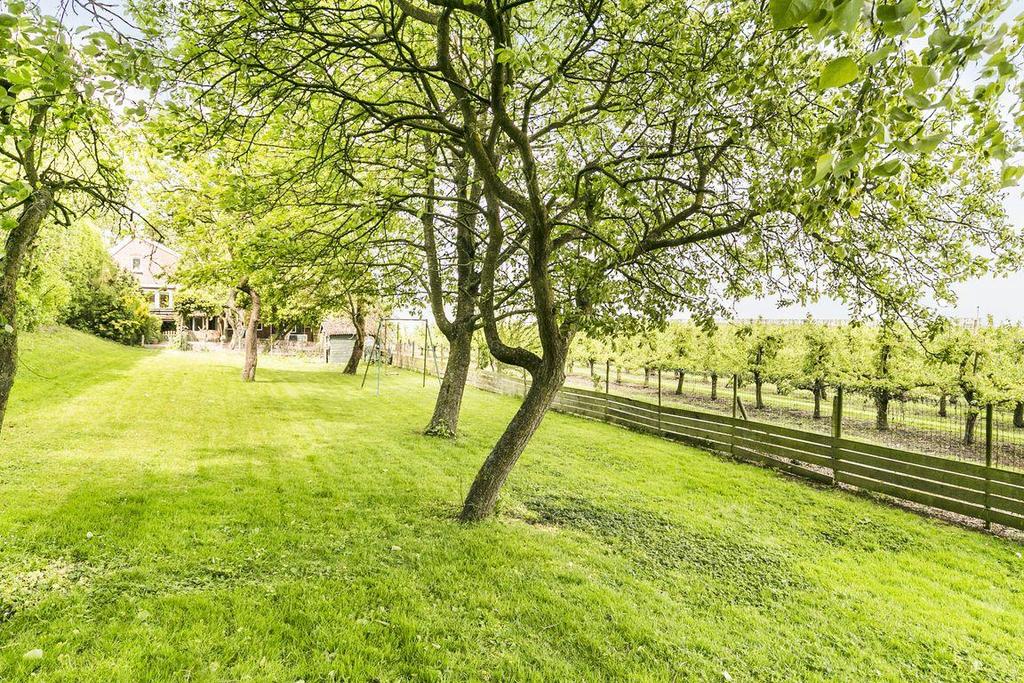 Grenzend aan een boomgaard en uitkijkend over het akkerland.., wij vielen meteen voor het uitzicht en de rust.