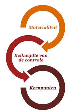 De hoofdlijnen van onze aanpak waren als volgt: Materialiteit Materialiteit: 4.000.000. Reikwijdte van de controle We hebben controlewerkzaamheden uitgevoerd op 3 entiteiten.