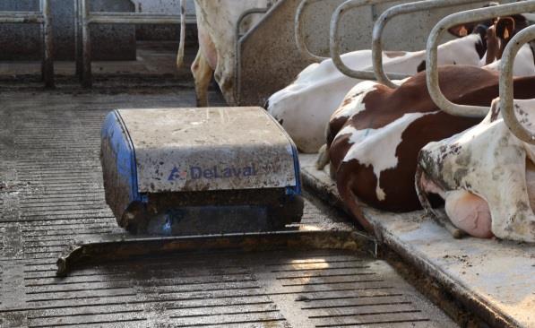 Nadelen: Prijs vanaf 14.500, met watersproeier vanaf 17.770 (prijzen excl.