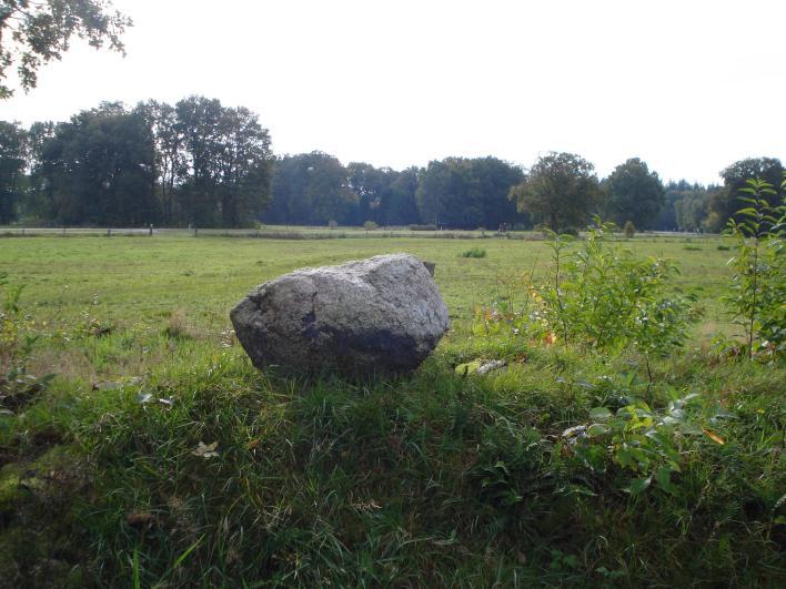 38 Steen op de wal Steen bij het Lonnekermeer (3) Aan de westkant van de Weerseloseweg ligt een steen op de wal die het verloop aangeeft van de markegrens tussen Groot Driene en Hasselo.