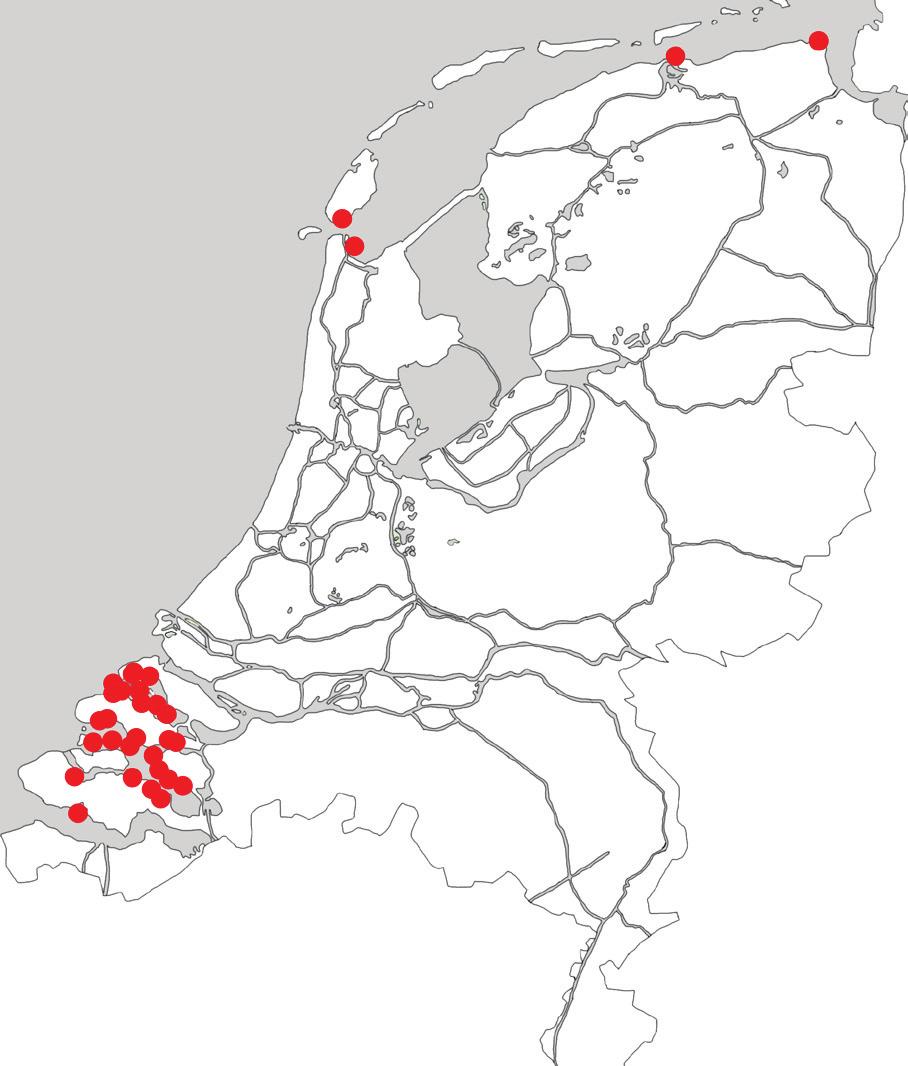 Dat de soort eerst in de Oostzee en pas later in Nederland werd geregistreerd, zou dan komen doordat Mnemiopsis leidyi langs de Nederlandse kusten jarenlang foutief als Bolinopsis infundibulum zou
