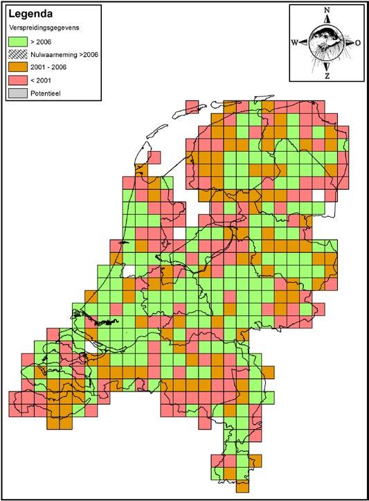 Bunzing De bunzing is door Zoogdiervereniging VZZ uitgeroepen tot soort van het jaar 2008 (zie elders in deze nieuwsbrief).