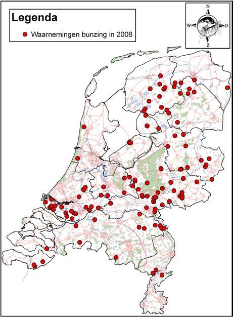 Soort van het jaar; de tussenstand Na onze oproep in de vorige Telganger zijn 127 waarnemingen van bunzingen doorgegeven via de website www.telmee.nl. Ze zijn mooi verspreid over Nederland.