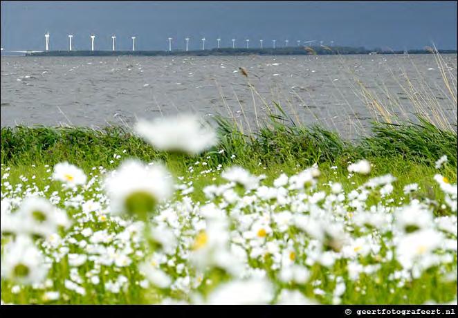 Dunne energie betekent decentraal oogsten en