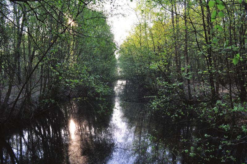 Broedvogels van het Oosterbos in 2013 1. Inleiding Voor de evaluatie van het beheer in natuurgebieden laat Staatsbosbeheer jaarlijks een deel van haar gebieden inventariseren.