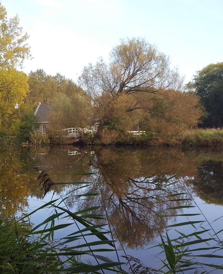 5 Niet-bezoekers natuur- en