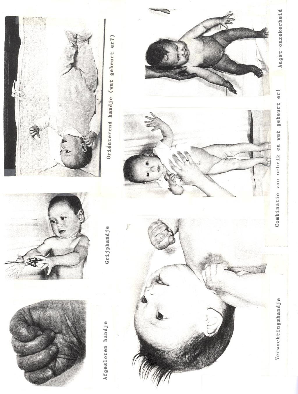 Voorbeelden zijn: ontspannen handje, vingers liggen los om het duimpje of helemaal open gestrekte en gespreide vingers De baby rust of slaapt. De baby is ontspannen.