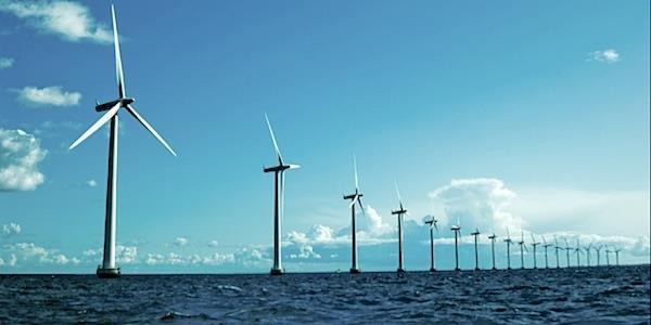 TenneT en biodiversiteit in omgevingsmanagement Wind op Zee MER procedure Offshore windparken In