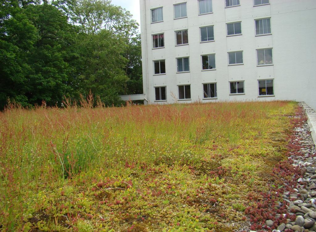 Regentessestraat:13 jaar oud 180 m2 ; 1.