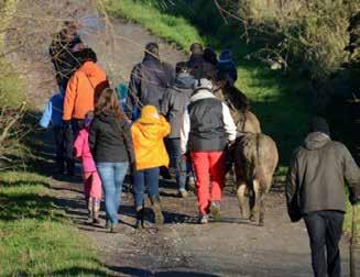 14 pp extra voor volwassene 9 pp extra voor kind tot 12 jaar 4,50 pp voor volwassenen 3 pp voor kinderen Duur: 2u Stevige stapschoenen zijn noodzakelijk Niet geschikt voor wandelwagens De ezels